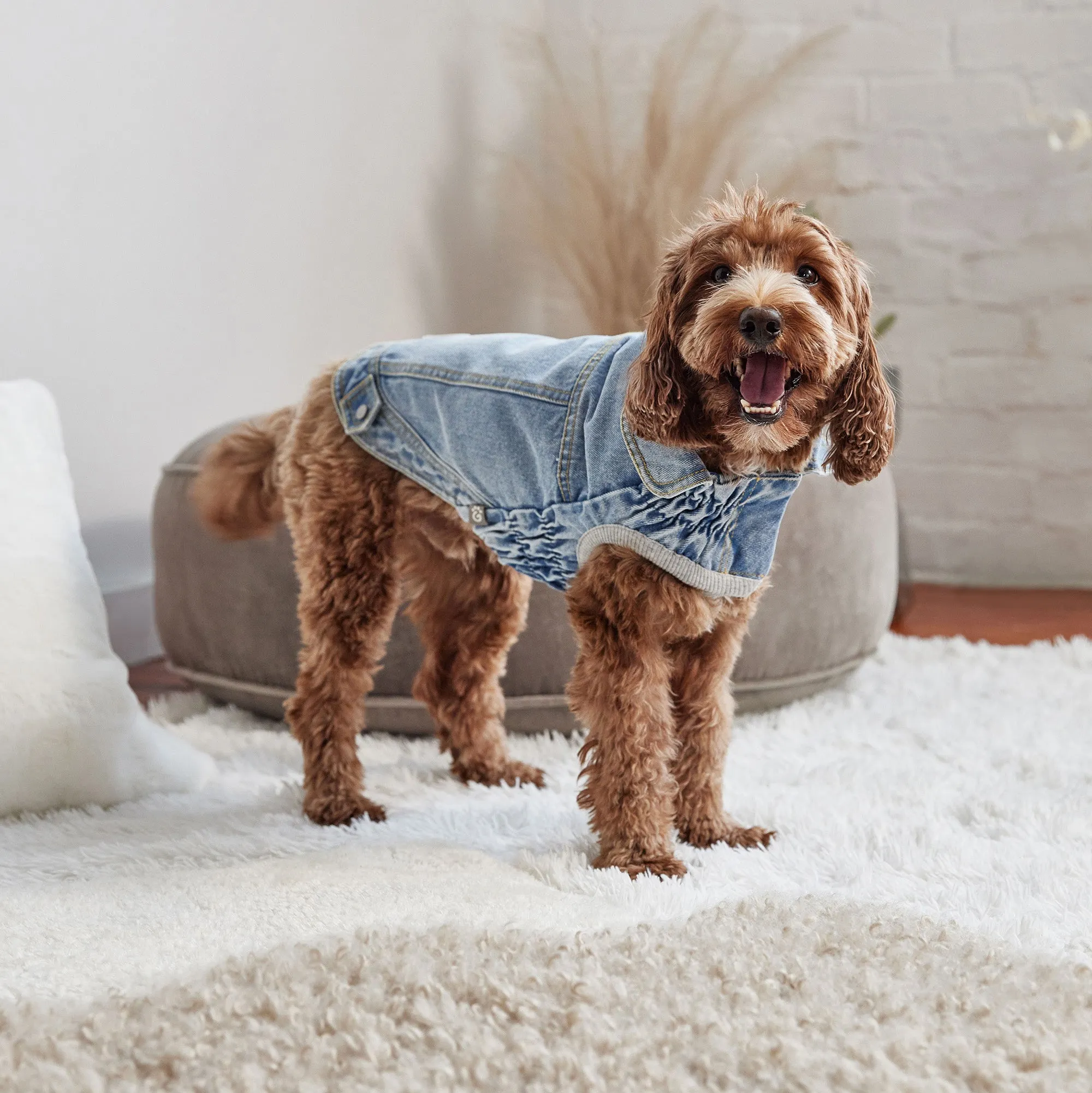 All-Season 90's Denim Dog Jacket | Light Wash