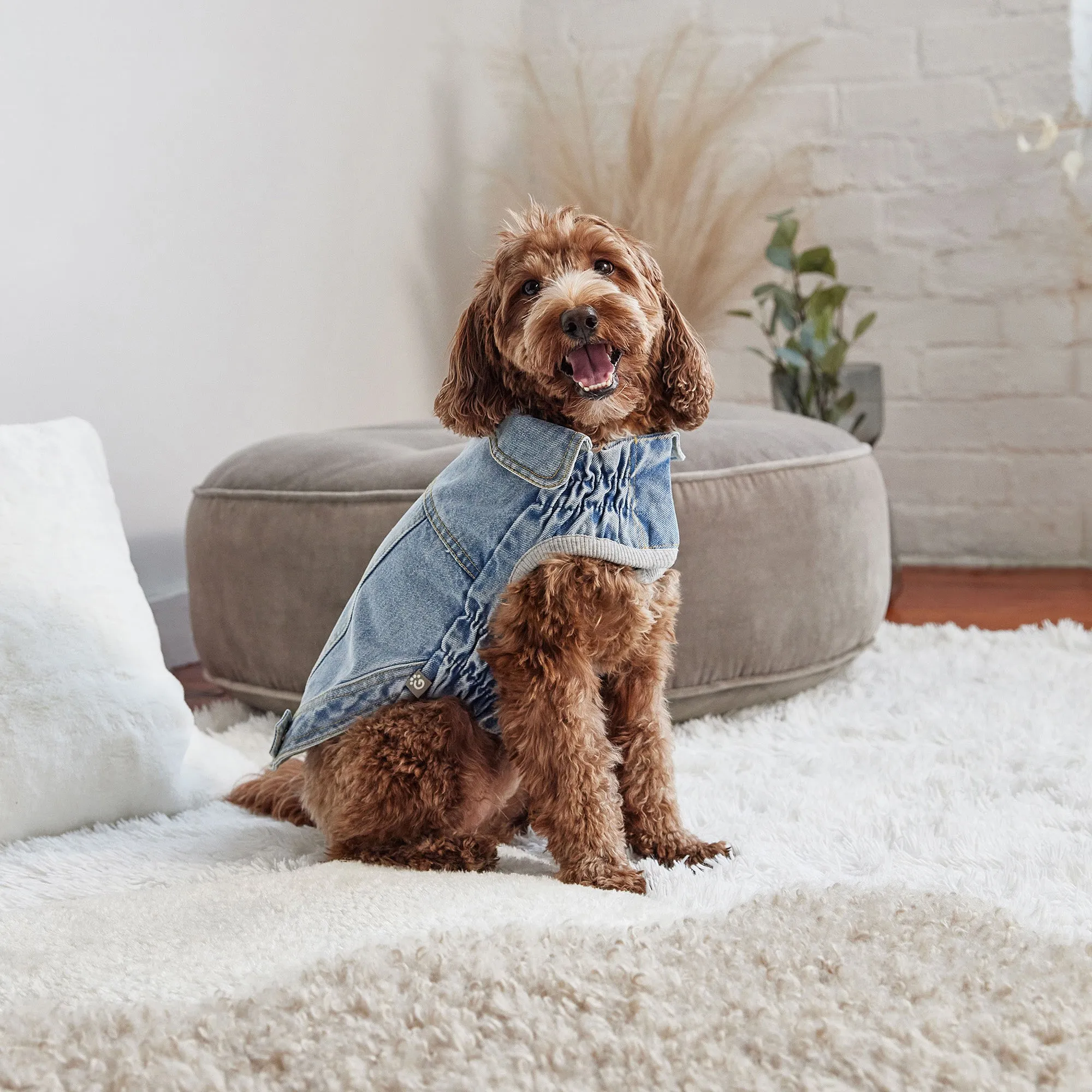 All-Season 90's Denim Dog Jacket | Light Wash