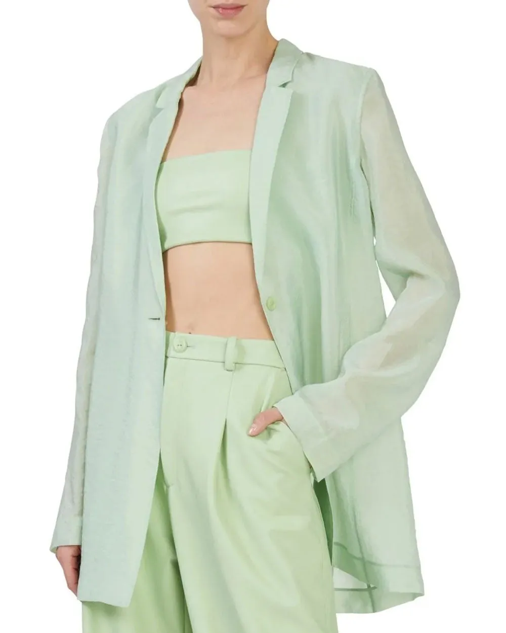 Aloe Sheer Single Breasted Blazer