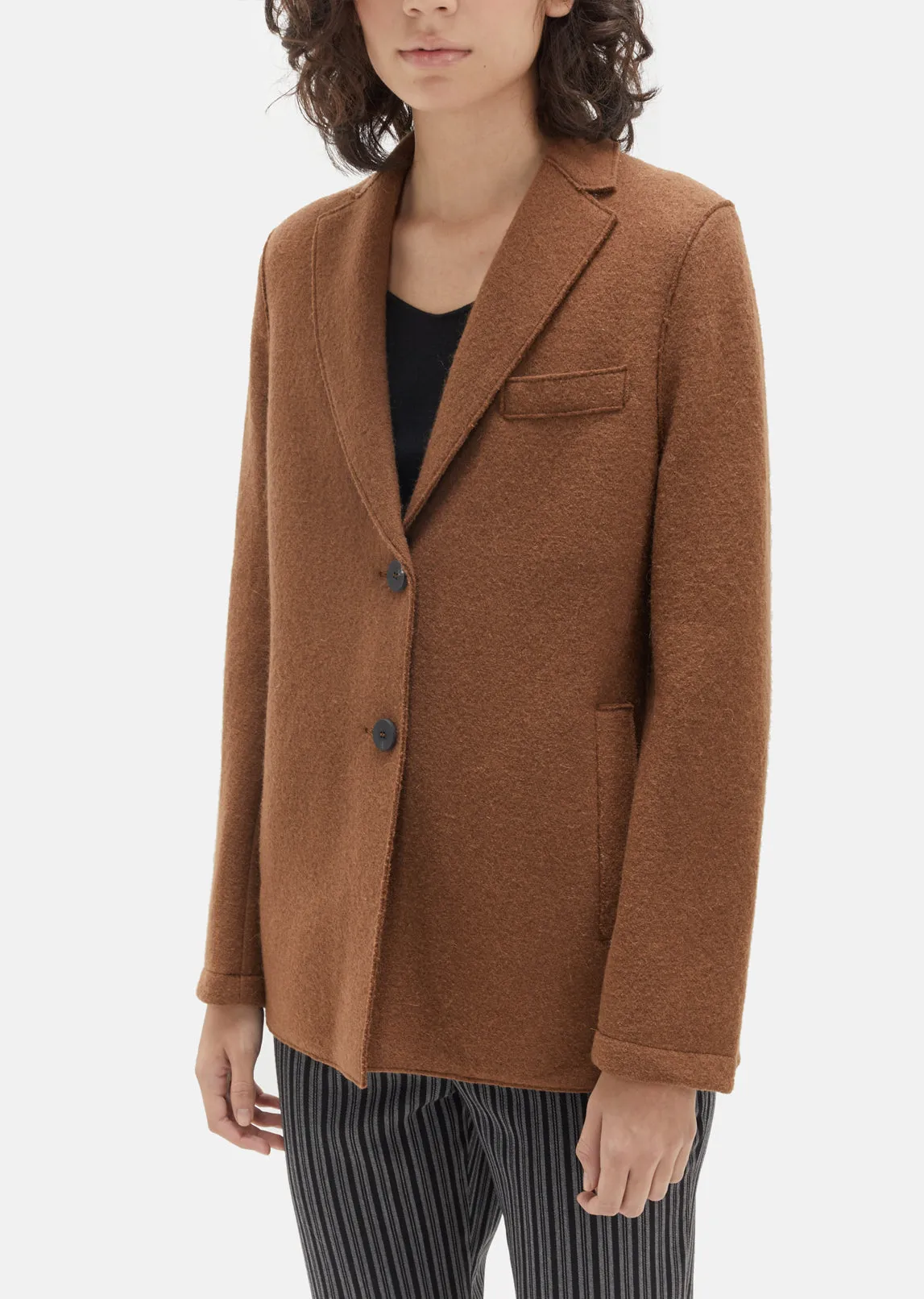 Boxy Alpaca Wool Blazer