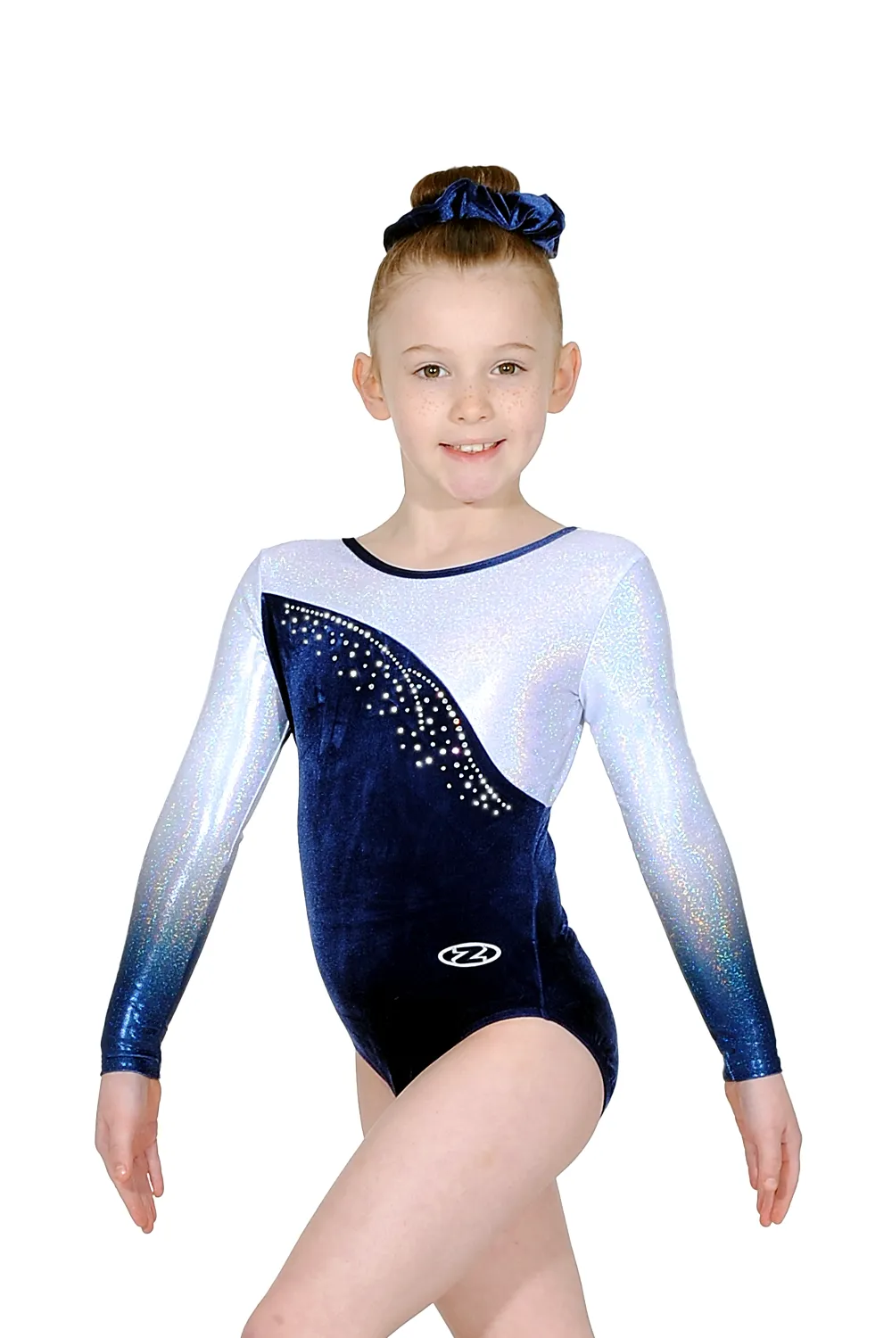 Idol Ombré Long Sleeve Leotard